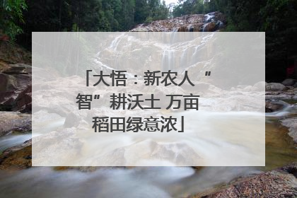 大悟：新农人“智”耕沃土 万亩稻田绿意浓