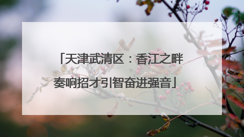 天津武清区：香江之畔奏响招才引智奋进强音