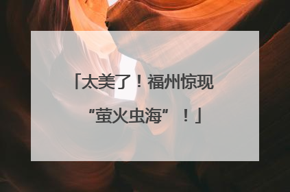太美了！福州惊现“萤火虫海”！