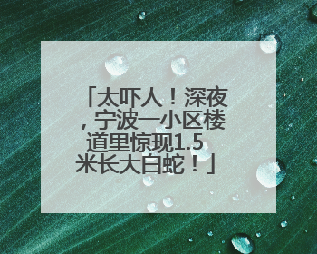 太吓人！深夜，宁波一小区楼道里惊现1.5米长大白蛇！