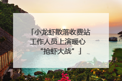 小龙虾散落收费站 工作人员上演暖心“抢虾大战”