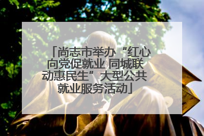 尚志市举办“红心向党促就业 同城联动惠民生”大型公共就业服务活动
