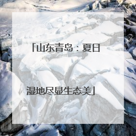 山东青岛：夏日湿地尽显生态美
