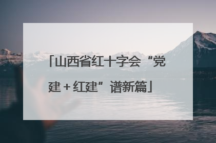 山西省红十字会“党建＋红建”谱新篇
