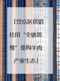 岱岳区供销社用“全链思维”重构羊肉产业生态