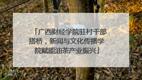 广西财经学院驻村干部搭桥，新闻与文化传播学院赋能油茶产业振兴