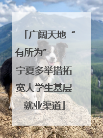 广阔天地“有所为”——宁夏多举措拓宽大学生基层就业渠道