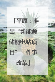 平原：推出“新能源储能电站项目”一件事改革