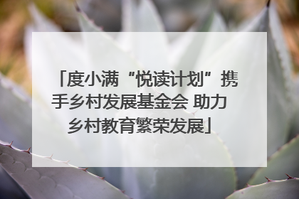 度小满“悦读计划”携手乡村发展基金会 助力乡村教育繁荣发展