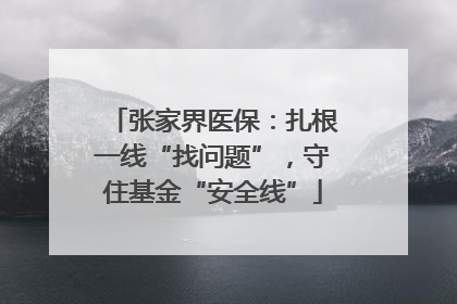 张家界医保：扎根一线“找问题”，守住基金“安全线”