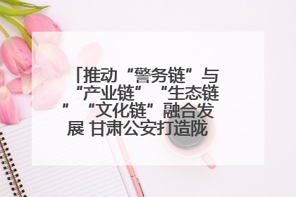 推动“警务链”与“产业链”“生态链”“文化链”融合发展 甘肃公安打造陇原旅游警务品牌