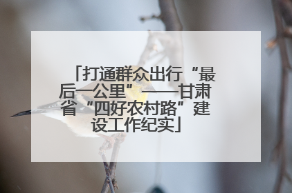打通群众出行“最后一公里”——甘肃省“四好农村路”建设工作纪实