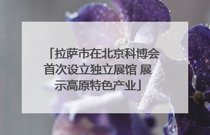 拉萨市在北京科博会首次设立独立展馆 展示高原特色产业