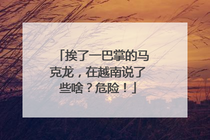挨了一巴掌的马克龙，在越南说了些啥？危险！
