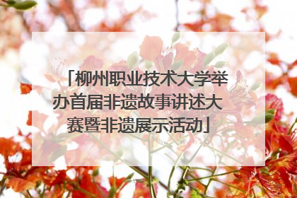 柳州职业技术大学举办首届非遗故事讲述大赛暨非遗展示活动