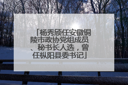 杨秀颀任安徽铜陵市政协党组成员、秘书长人选，曾任枞阳县委书记
