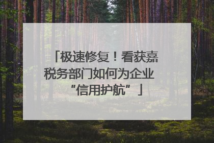 极速修复！看获嘉税务部门如何为企业“信用护航”