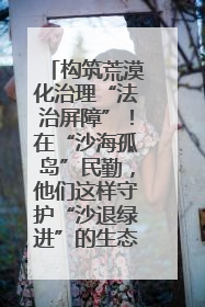 构筑荒漠化治理“法治屏障”！在“沙海孤岛”民勤，他们这样守护“沙退绿进”的生态奇迹