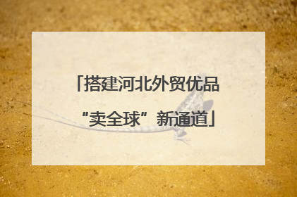 搭建河北外贸优品“卖全球”新通道