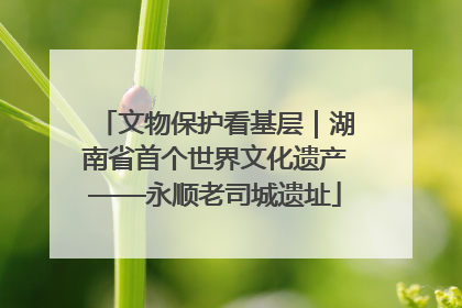文物保护看基层｜湖南省首个世界文化遗产——永顺老司城遗址