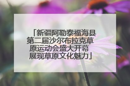 新疆阿勒泰福海县第二届沙尔布拉克草原运动会盛大开幕 展现草原文化魅力