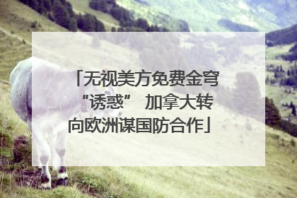 无视美方免费金穹“诱惑” 加拿大转向欧洲谋国防合作