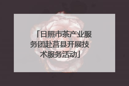 日照市茶产业服务团赴莒县开展技术服务活动