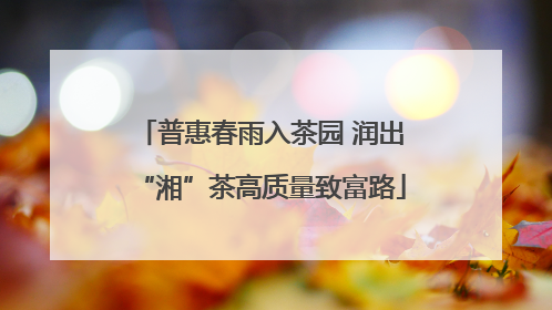 普惠春雨入茶园 润出“湘”茶高质量致富路