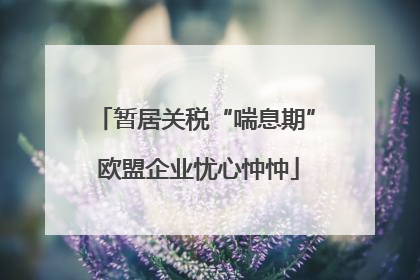 暂居关税“喘息期” 欧盟企业忧心忡忡
