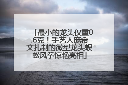 最小的龙头仅重0.6克！手艺人庞希文扎制的微型龙头蜈蚣风筝惊艳亮相