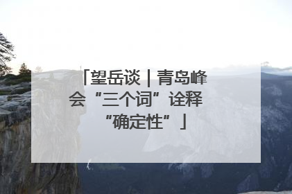 望岳谈｜青岛峰会“三个词”诠释“确定性”