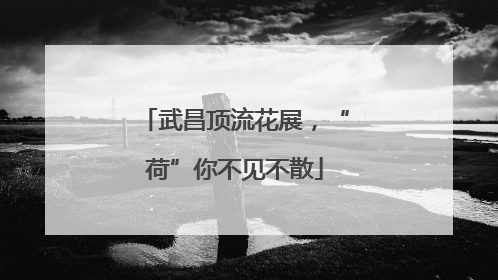 武昌顶流花展，“荷”你不见不散