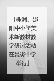 株洲、邵阳中小学美术新教材教学研讨活动在景炎中学举行