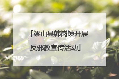 梁山县韩岗镇开展反邪教宣传活动