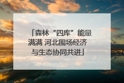 森林“四库”能量满满 河北围场经济与生态协同共进