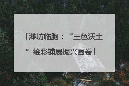 潍坊临朐：“三色沃土”绘彩铺展振兴画卷