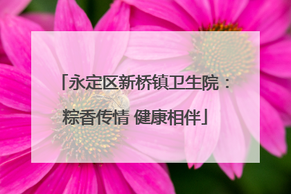 永定区新桥镇卫生院：粽香传情 健康相伴