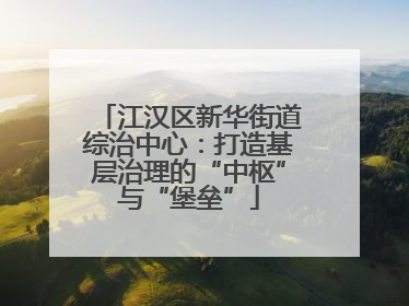 江汉区新华街道综治中心：打造基层治理的“中枢”与“堡垒”