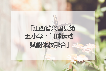 江西省兴国县第五小学：门球运动赋能体教融合