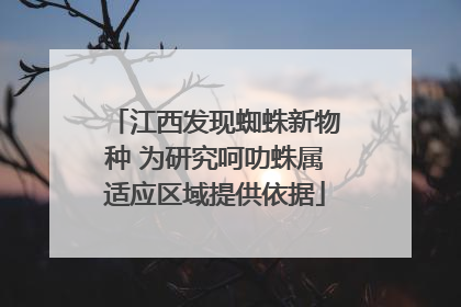 江西发现蜘蛛新物种 为研究呵叻蛛属适应区域提供依据