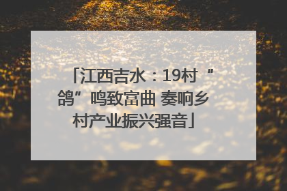 江西吉水：19村“鸽”鸣致富曲 奏响乡村产业振兴强音