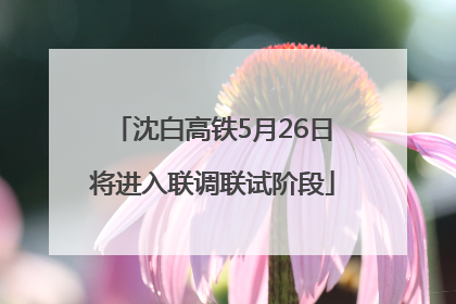 沈白高铁5月26日将进入联调联试阶段