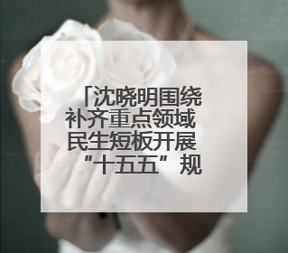 沈晓明围绕补齐重点领域民生短板开展“十五五”规划专题调研
