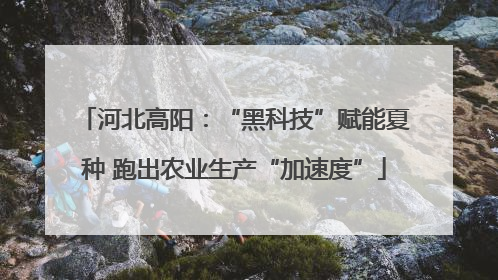 河北高阳：“黑科技”赋能夏种 跑出农业生产“加速度”
