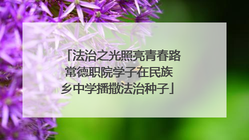 法治之光照亮青春路 常德职院学子在民族乡中学播撒法治种子