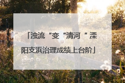 浊流“变“清河“ 溧阳支浜治理成绩上台阶