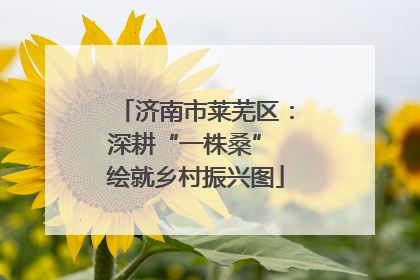 济南市莱芜区：深耕“一株桑” 绘就乡村振兴图
