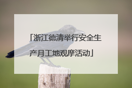 浙江德清举行安全生产月工地观摩活动