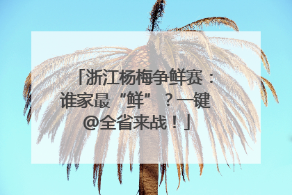 浙江杨梅争鲜赛：谁家最“鲜”？一键@全省来战！