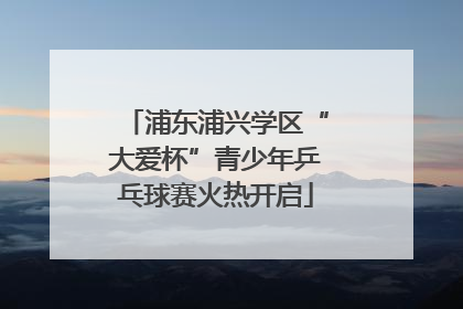 浦东浦兴学区“大爱杯”青少年乒乓球赛火热开启